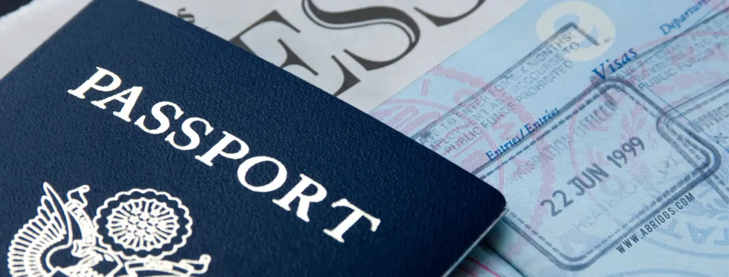 Image for Visa Privileges